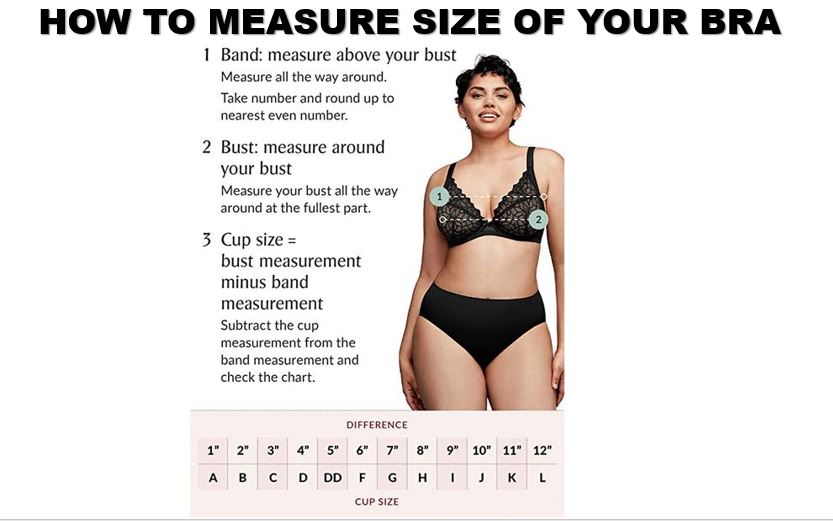 Body Measurement Women